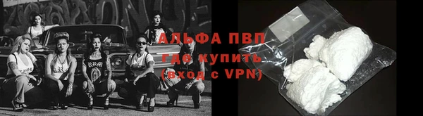 стаф Абинск
