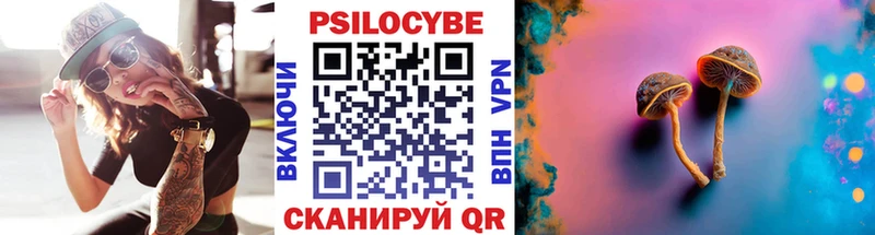 цены   Гагарин  мориарти состав  Псилоцибиновые грибы GOLDEN TEACHER 